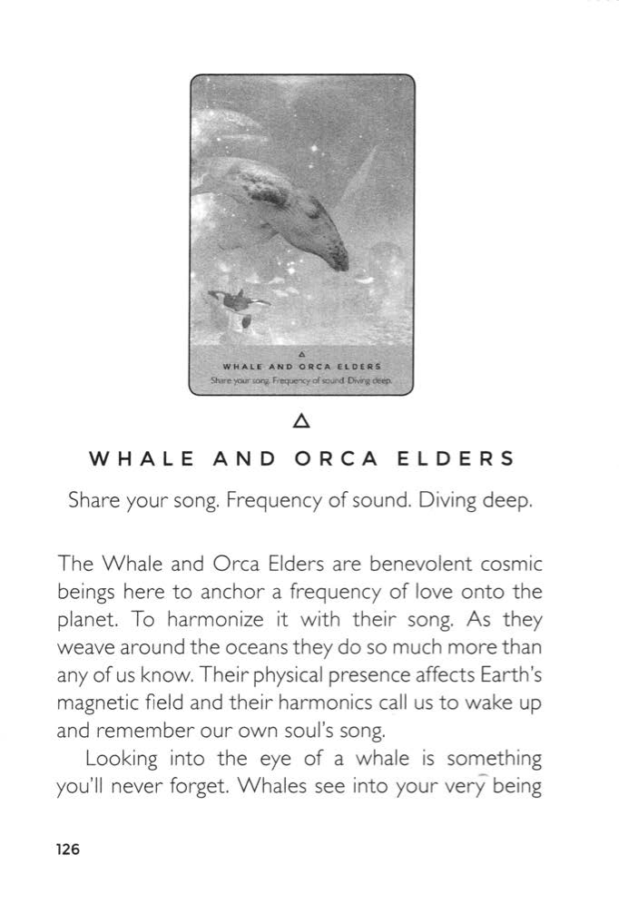 Whale and Orca Elders image